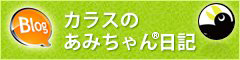ブログ・カラスのあみちゃん®日記